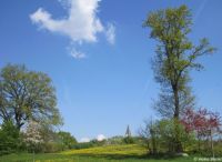 Foto: Heike Benkmann<br>Bürgerpark im Mai 2014