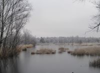 Foto: Heike Benkmann<br>Eiszeit im Rhener Moor