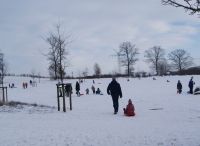 Foto: Heike Benkmann<br>Winterspaß am Rodelberg im Bürgerpark