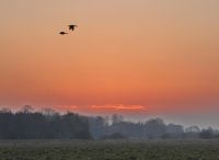 Foto: Thomas Lendt<br>Februar Blätterfrei - aber auch schön