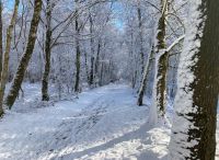 Foto: Susanne Nähr<br>Winterglanz im Henstedter Moor im März 2023