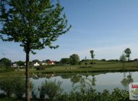 Foto: Heike Benkmann<br>Bürgerpark im Sommer