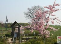 Foto: Heike Benkmann<br>Frühling im Bürgerpark