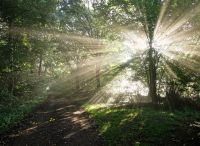 Foto: Thomas Lendt<br>Frühherbst 2015 - Hinter dem Wanderparkplatz Alsterniederung