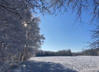 Foto: Susanne Nähr<br>Winterglanz im Henstedter Moor im März 2023