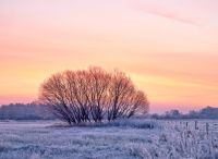 Thomas Lendt<br>Frostiger Wintermorgen auf einer Wiese der Oberalsterniederung 2019