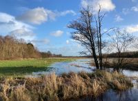 Foto: Susanne Nähr<br>Alsterniederung - Weihnachten 2023