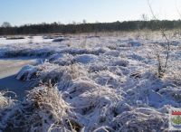 Foto: Heike Benkmann<br>Henstedt-Ulzburger Winterimpressionen