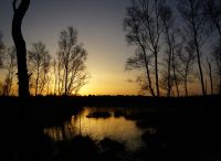 Foto: Susanne Nähr<br>Sonnenaufgang über dem Rhener Moor am 09.01.2018