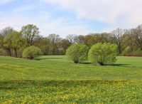 Foto: Thomas Lendt<br>Frühjahr 2019 gibt Gas - westlich des  Gewerbegebietes Nord