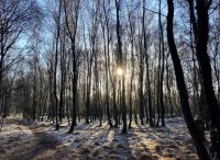 Foto: Susanne Nähr<br>Winterlicher Sonnenaufgang im Rhener Moor 2021