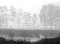 Foto: Thomas Lendt<br>Henstedter Moor - Teich im Frühnebel