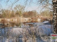 Foto: Werner Quade<br>Malerischer Winter im Biotop