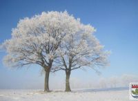 Foto: Heike Benkmann<br>Henstedt-Ulzburger Winterimpressionen