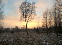 Foto: Heike Benkmann<br>Abendstimmung im Rhener Moor