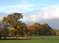 Foto: Thomas Lendt<br>Bunter Herbst bis in den November 2016 - kurz vor dem ersten Schnee