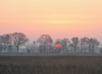 Foto: Thomas Lendt<br>Februar Blätterfrei - aber auch schön