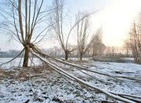 Foto: Thomas Lendt<br>Herbststurm 2017 -Tribut