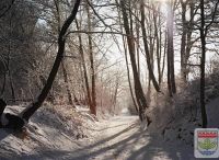 Foto: Werner Quade<br>Winterweg am Ehrenhain