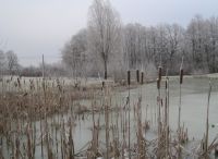 Foto: Heike Benkmann<br>Eiszeit im Rhener Moor