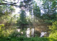 Foto: Thomas Lendt<br>Hein-Timm-Weg an der Alsterquelle - Durchblick auf den kleinen Teich