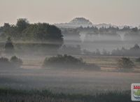 Foto: Thomas Lendt<br>Sommermorgen im Naturschutzgebiet Oberalsterniederung in Henstedt