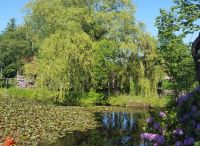 Foto: Heike Steier<br>Wöddelteich im Sommer 2017