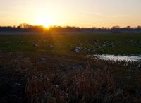 Foto: Susanne Nähr<br>Alsterniederung mit Sonnenuntergang