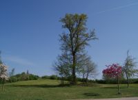 Foto: Heike Benkmann<br>Ab ins Grüne im Bürgerpark