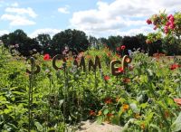 Foto: Sabine Sülau<br>Sommer 2017 - Henstedt-Ulzburg wartet noch ...