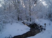 Foto: Heike Benkmann<br>Winter 2018 im Bürgerpark