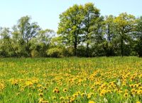 Foto: Thomas Lendt<br>Sommer 2018 kündigt sich an ...