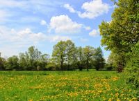 Foto: Thomas Lendt<br>Sommer 2018 kündigt sich an ...