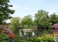 Foto: Heike Benkmann<br>Rhododendronblüte am Wöddelteich