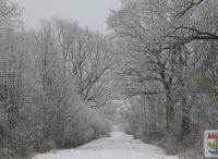 Foto: Thomas Lendt<br>Winterimpression - Weg zum Rodelberg