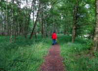 Foto: Claudia Schnack<br>Spaziergang in Henstedt-Rhen