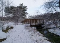 Foto: Heike Benkmann<br>Eiszeit im Rhener Moor