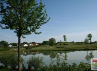 Foto: Heike Benkmann<br>Frühling im Bürgerpark