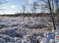 Foto: Heike Benkmann<br>Henstedt-Ulzburger Winterimpressionen