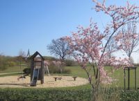 Foto: Heike Benkmann<br>Frühlingserwachen im Bürgerpark