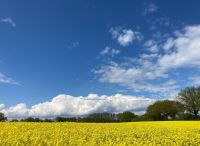 Foto: Susanne Nähr<br>Götzberg im Frühling 2021