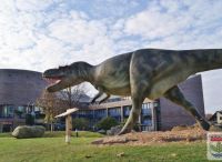 Foto: Heike Benkmann<br>Albertosaurus 7m lang und viele kleine H-U - ler freuts