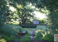 Foto: Thomas Lendt<br>Sommermorgen im Naturschutzgebiet Oberalsterniederung in Henstedt