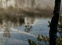 Foto: Susanne Nähr<br>Herbstmorgen im Rhener Moor