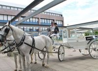 Foto: Heike Benkmann<br>Warten auf das Brautpaar vor dem Rathaus