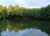 Foto: Susanne Nähr<br>Herbst im Bürgerpark