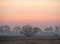 Foto: Thomas Lendt<br>Februar Blätterfrei - aber auch schön