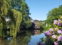 Foto: Heike Steier<br>Wöddelteich im Sommer 2017