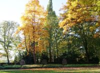 Foto: Heike Benkmann<br>Goldener Herbst im Findlingsgarten