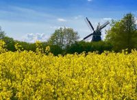 Foto: Susanne Nähr<br>Götzberg im Frühling 2021